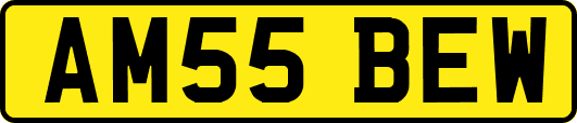 AM55BEW