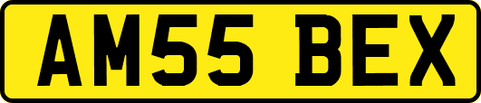 AM55BEX
