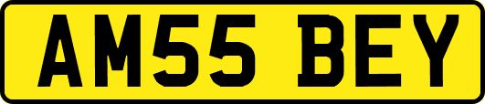 AM55BEY