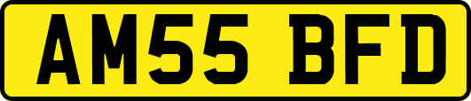AM55BFD