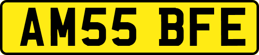 AM55BFE