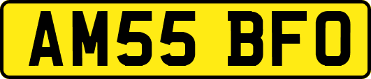 AM55BFO