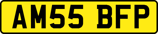 AM55BFP