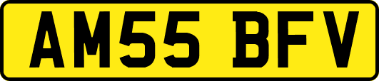 AM55BFV