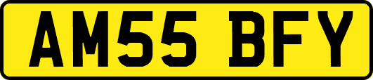 AM55BFY