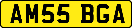 AM55BGA