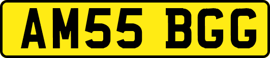 AM55BGG