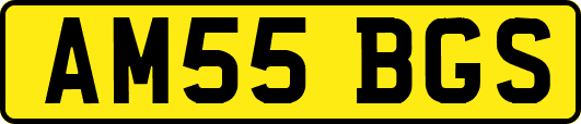 AM55BGS
