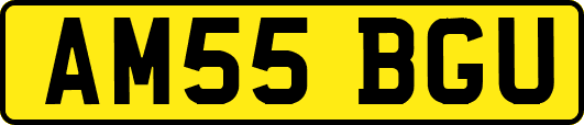 AM55BGU