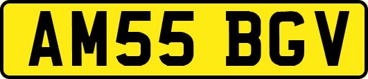 AM55BGV