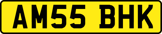 AM55BHK