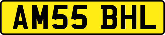AM55BHL