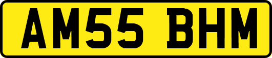 AM55BHM