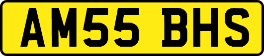 AM55BHS