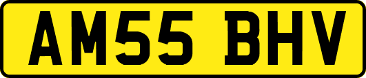 AM55BHV