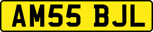 AM55BJL