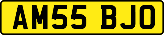AM55BJO