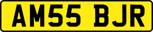 AM55BJR