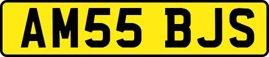 AM55BJS