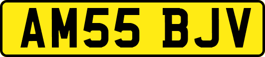 AM55BJV