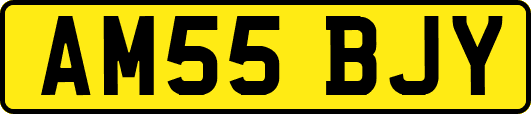 AM55BJY