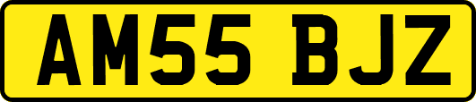AM55BJZ