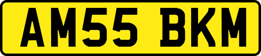 AM55BKM