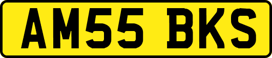 AM55BKS
