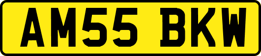 AM55BKW