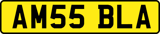 AM55BLA