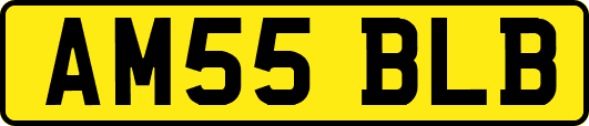 AM55BLB