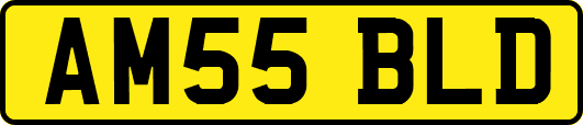 AM55BLD