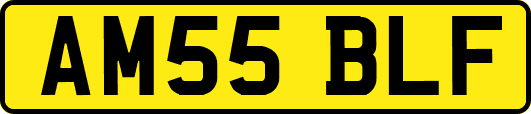 AM55BLF