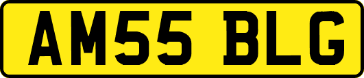 AM55BLG
