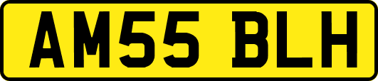 AM55BLH