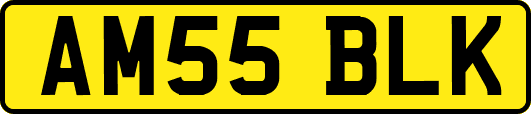 AM55BLK