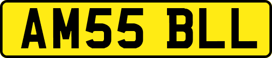 AM55BLL
