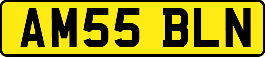 AM55BLN