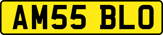 AM55BLO