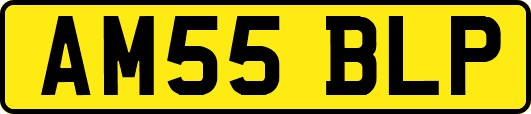 AM55BLP