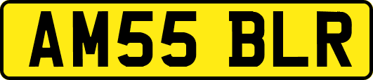 AM55BLR