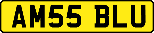 AM55BLU
