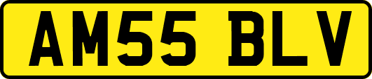 AM55BLV