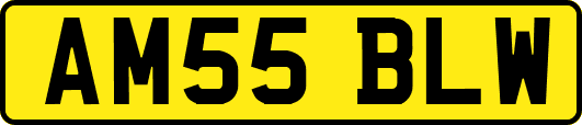 AM55BLW