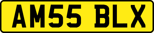 AM55BLX