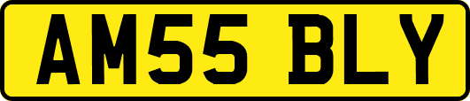 AM55BLY