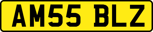 AM55BLZ