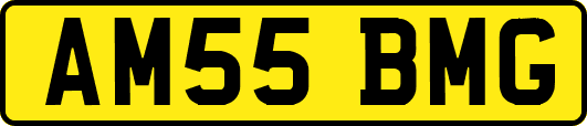 AM55BMG