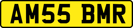 AM55BMR