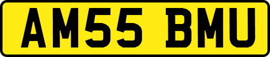 AM55BMU